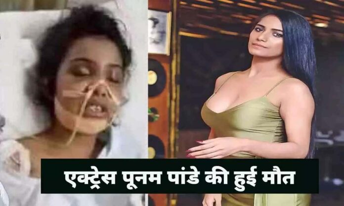 Poonam Pandey Death