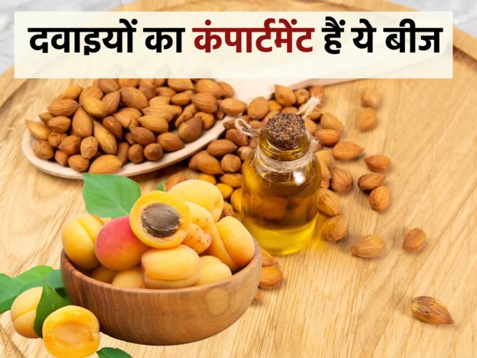 Apricot seeds benefits